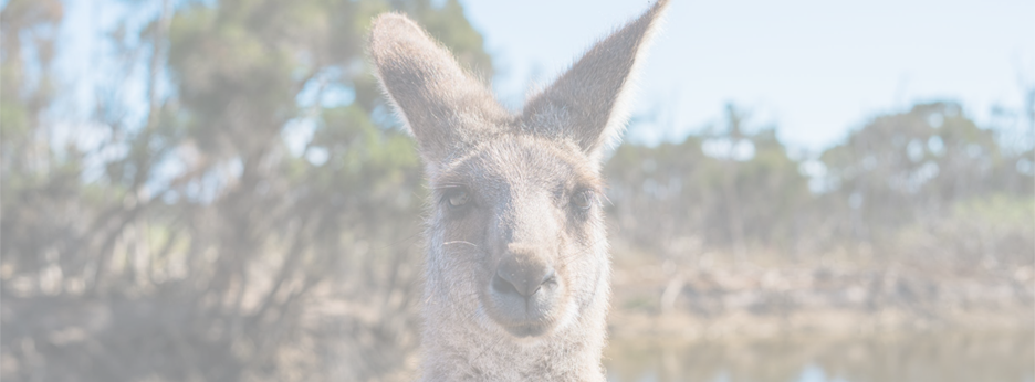 Sales & Reservations